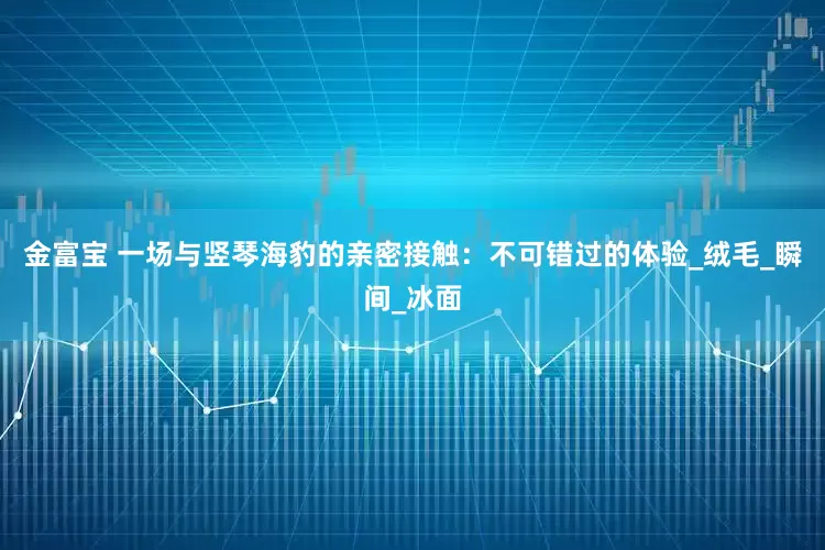 金富宝 一场与竖琴海豹的亲密接触：不可错过的体验_绒毛_瞬间_冰面