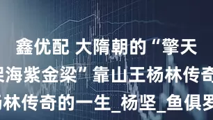 鑫优配 大隋朝的“擎天博玉柱，架海紫金梁”靠山王杨林传奇的一生_杨坚_鱼俱罗_名将
