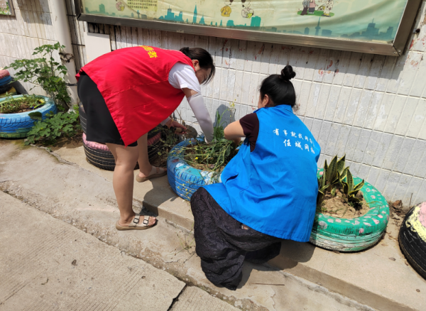 证配所配资 五期绿植焕新, 济阳街道南门社区绽放生机